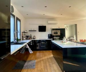 a large kitchen with a sink and a counter at Villa contemporaine, jardin méditerranéen et piscine privée in Saint-Jean-Pla-de-Corts +20 photos