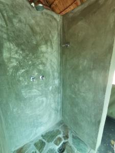 Dos ovejas están en una ducha en una habitación en Kruger Buffalo Hill Lodge, en Phalaborwa