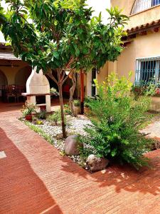 a garden with trees and rocks in front of a building at LA DEPENDANCE in Su Forti