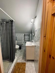 a bathroom with a sink and a toilet at Agroturystyka Dom Wśród Sosen in Rzędkowice