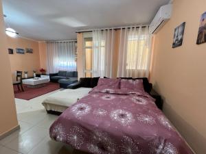 Postel nebo postele na pokoji v ubytování Elbasan center family apartment n.42
