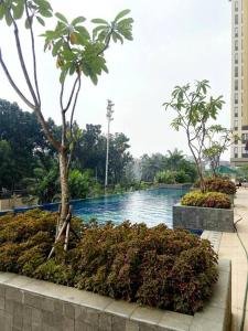 Bazén v ubytování Apt Transpark Cibubur 2 BR With Wi-Fi & Pool nebo v jeho okolí