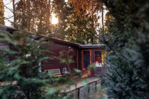 uma cabana de madeira com um banco numa floresta em Veluwe cottage close to forest & wellness em Putten