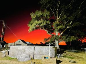 een boom in een veld met een rode hemel bij Eittel Guest Farm Cottage in Winburg