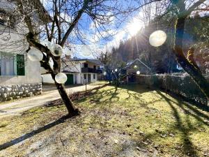 a tree with bubbles on it in a yard at Garden apartment No.3 in Bled +13 photos