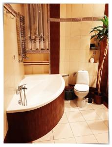 a bathroom with a tub and a toilet at SouvenirAppart Sniadeckich in Bydgoszcz