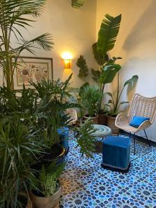 ein Zimmer voller Pflanzen und Stühle in der Unterkunft Le Palazzo in Essaouira