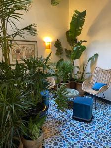 Le Palazzo外面的花园