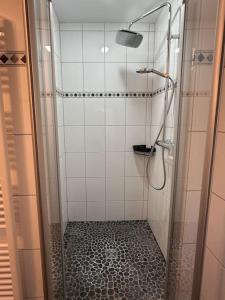 eine Dusche mit Glastür im Bad in der Unterkunft Deichoase Abbenfleth in Stade