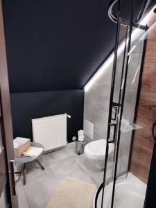 La salle de bains est pourvue de toilettes et d'une douche en verre. dans l'établissement Apartamenty Leśna Osiem, à Jeżów Sudecki