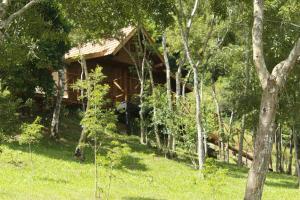 a log cabin in the woods with trees at Cabana Gracillis in Barracão
