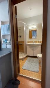 een badkamer met een douche, een wastafel en een toilet bij Boro Boro in Borovets