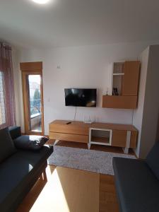 TV a/nebo společenská místnost v ubytování Apartman Markovic Rich