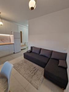 sala de estar con sofá y cocina en Cora Apartment, en Baia Mare