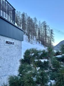 uma árvore de Natal na neve ao lado de um edifício em Pezza 21 em Samnaun