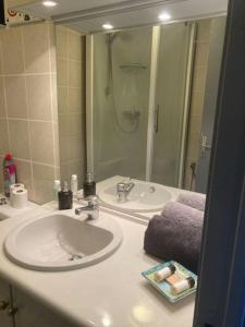 ein Bad mit einem Waschbecken und einem Spiegel in der Unterkunft Maison de tourisme Berlinval 