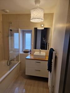 bagno con lavandino, doccia e specchio di Chez Aurélie et Bruno a Montceau-les-Mines