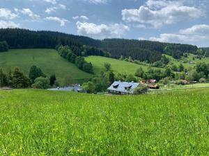 a field of green grass with a house in the distance at Apartmány NETA Velké Karlovice, Polanský Dvůr in Velké Karlovice