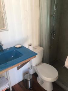 bagno con servizi igienici e lavandino blu di la casa en el rio a Tigre