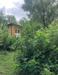 una casa in mezzo a una foresta di la casa en el rio a Tigre Altre 5 foto