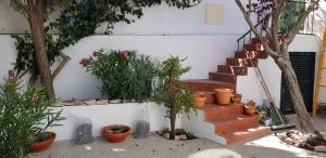 un escalier avec des plantes en pot sur le côté d'une paroi dans l'établissement Casa Melfer, à Sesimbra