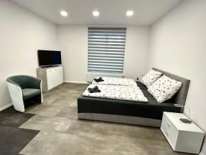 A television and/or entertainment centre at Apartmány PREMIUM se soukromým parkováním
