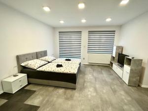 A television and/or entertainment centre at Apartmány PREMIUM se soukromým parkováním