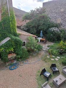 un jardín con una manguera azul en el suelo en Studio/F1 cosy, en Caux