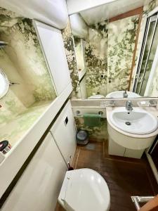 La petite salle de bains est pourvue de toilettes et d'un lavabo. dans l'établissement Yacht Marseille, à Marseille