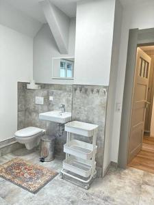 a bathroom with a sink and a toilet at Villa Schloßblick-Schwarzenberg in Neuanbau