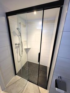 a shower with a glass door in a bathroom at Chalet Lilo New Studio in Beatenberg