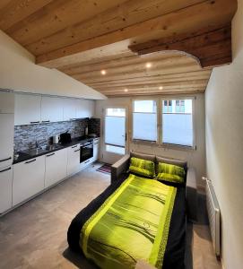 Köök või kööginurk majutusasutuses Chalet Lilo New Studio