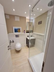 a bathroom with a shower and a toilet and a sink at Wohnung, 2 Schlafzimmer voll ausgestattet in Uninähe in Mainz +11 photos