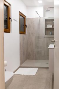 a bathroom with a shower with a glass door at Oliver street apartment Vipava in Vipava