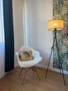 a room with a chair with a pillow and a lamp at Magnifique T2 - proche hyper centre in Toulouse
