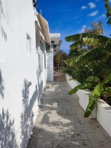 科林比亞的住宿－Ioanna Studio Διαμέρισμα κοντά στη θάλασσα.，两座白色的植物建筑之间的路径