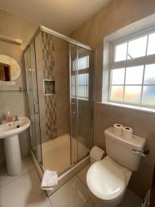 a bathroom with a toilet and a shower and a sink at Dingle Harbour Nights - Room Only in Dingle