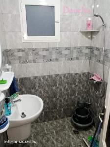 La salle de bains est pourvue d'un lavabo, de toilettes et d'une douche. dans l'établissement Résidence Aquilaria Dar Nouha, à El Haouaria