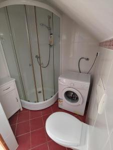 y baño con ducha y lavadora. en Apartment Kumbor, en Herceg-Novi
