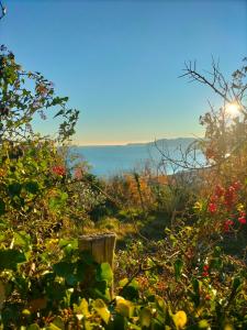 una colina con árboles y vistas al océano en A Carubba du Bungiurnu, en Borgio Verezzi