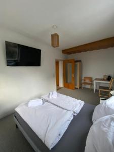 a bedroom with two beds and a flat screen tv at Bluestone Appartments - 26qm free and near parking in Blaustein