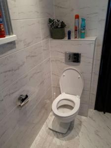 ein Bad mit einem weißen WC in einem Zimmer in der Unterkunft Bungalov s najkrajším výhľadom in Spišský Hrhov