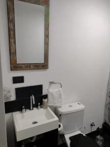 a bathroom with a sink and a toilet and a mirror at Monoambiente Villa Crespo in Buenos Aires