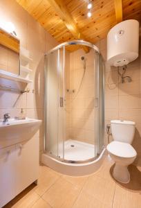 a bathroom with a shower and a toilet and a sink at Domki LUX in Jarosławiec