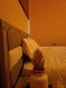 Gambar di galeri bagi Villa Elear di Korçë