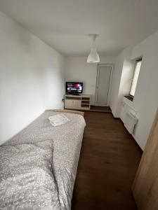 een slaapkamer met een bed en een flatscreen-tv bij Gästehaus EMELI in Lutherstadt Eisleben
