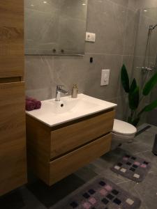 een badkamer met een wastafel en een toilet bij Center home Belvárosi kis lakás, csendes udvarral in Esztergom