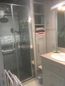a bathroom with a shower and a sink at Appartement 2 pièces près des thermes in Bagnoles de l'Orne
