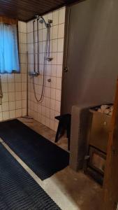 a bathroom with a shower and a tile wall at Huoneisto Ilomantsin Kivilahdessa in Kivilahti