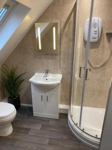 a bathroom with a sink and a shower and a toilet at Colne Brook Barn in Alvington